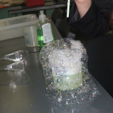 tsa_ScienceClub (17)